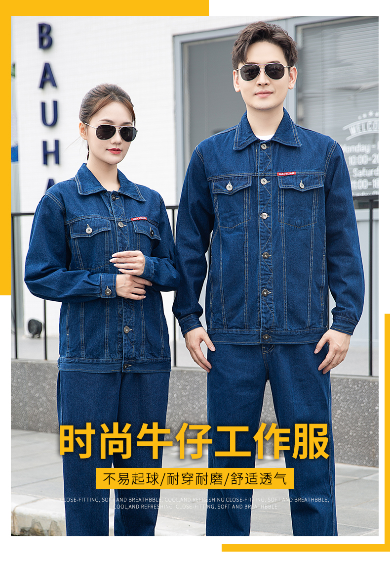 NZ010A(图1)